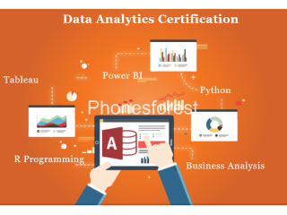 Data Analytics Institute with 100% Job Placement at SLA Institute Delhi, Free R & Python Certification,