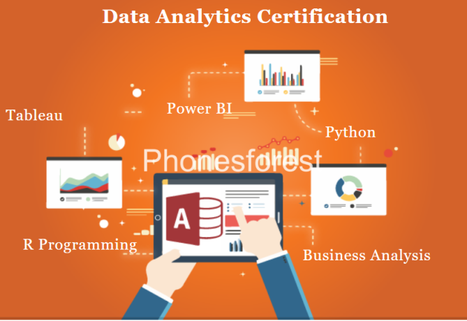 data-analytics-institute-with-100-job-placement-at-sla-institute-delhi-free-r-python-certification-big-0