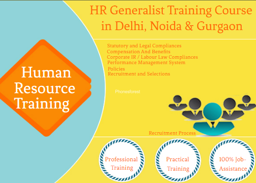 hr-training-in-delhi-shakarpur-sla-institute-free-sap-hcm-hr-analytics-certification-100-job-guarantee-big-0