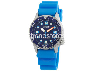 Promaster Blue Dial Watch