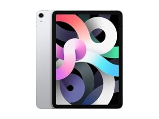 Apple 10.9-Inch iPad Air - (4th Generation) Wi-Fi + Cellular - 256GB - Silver (Unlocked)